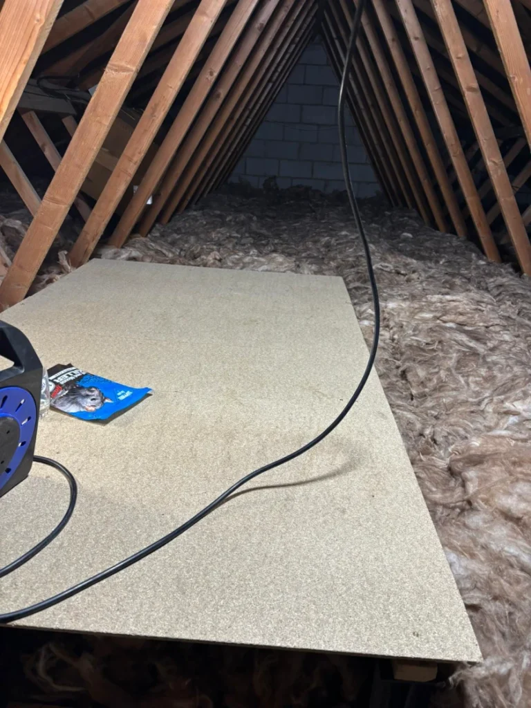 Loft Insulation Services Suffolk (4)