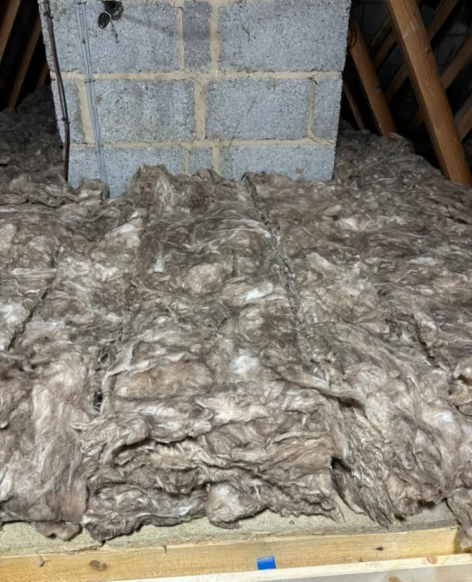Loft Insulation Services Suffolk (6)