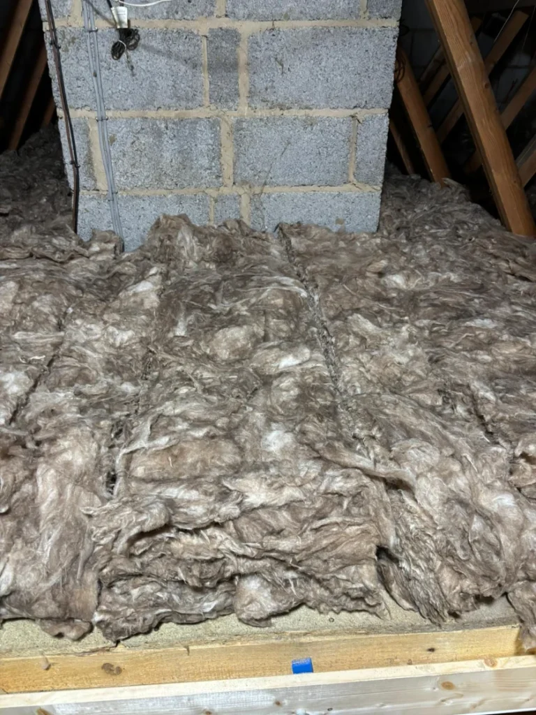 Loft Insulation Services Suffolk (6)